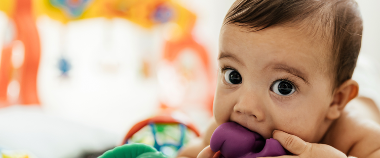 Actor portrayal of an infant with a teething toy in their mouth